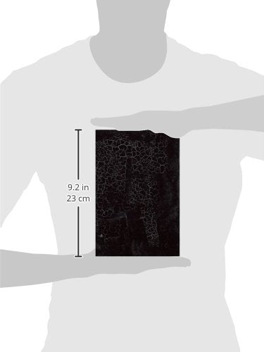 Black Square: Malevich And The Origin Of Suprematism,New