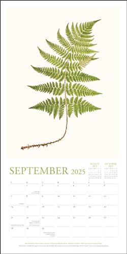 New York Botanical Garden 2025 Wall Calendar,Used