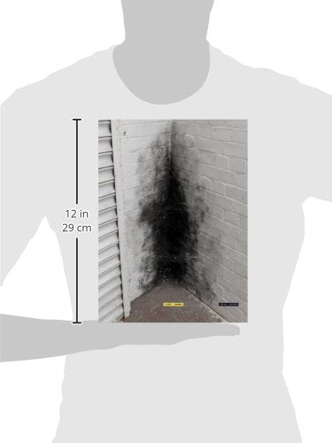 Anish Kapoor: Dirty Corner,Used
