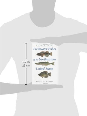 Freshwater Fishes Of The Northeastern United States: A Field Guide (New York State Series),Used
