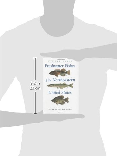 Freshwater Fishes Of The Northeastern United States: A Field Guide (New York State Series),Used