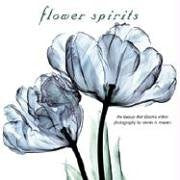 FLOWER SPIRITS; The Beauty That Blooms Within,Used