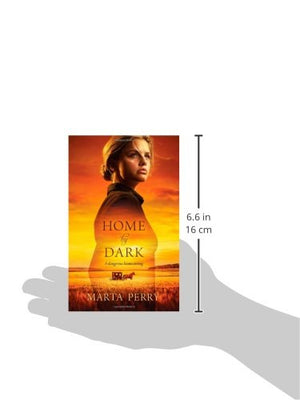 Home by Dark,Used