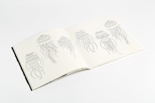 Lost Ocean: An Inky Adventure and Coloring Book for Adults,Used