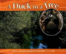 A Duck in a Tree,Used