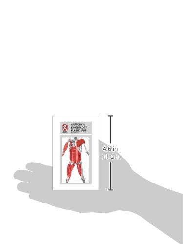 Anatomy & Kinesiology Flashcards,Used
