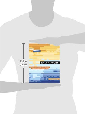 Data at Work: Best practices for creating effective charts and information graphics in Microsoft Excel (Voices That Matter),Used