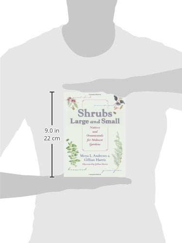 Shrubs Large and Small: Natives and Ornamentals for Midwest Gardens,Used