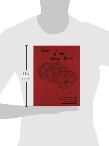 Atlas Of The Sheep Brain-new