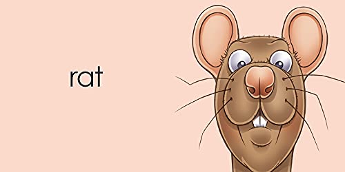 Rat (BigThymeRhyme),Used