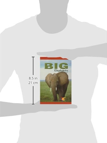 Big Elephants (Real Readers),New