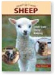 Sheep: SmallScale Sheep Keeping For Pleasure And Profit (Hobby Farm),Used