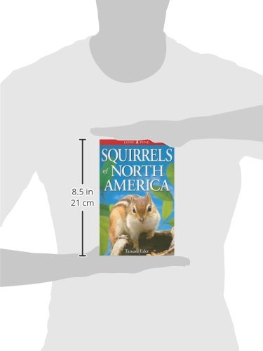 Squirrels of North America,Used