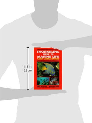 Snorkeling Guide to Marine Life Florida, Caribbean, Bahamas,Used