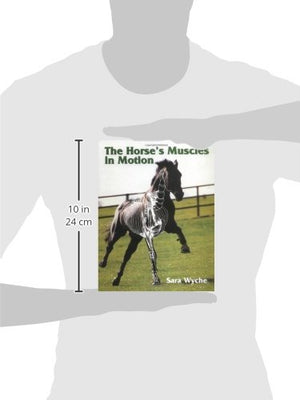 The Horse's Muscles in Motion,Used