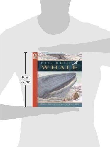Big Blue Whale: Read And Wonder,New