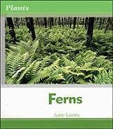 Ferns (Plants),Used