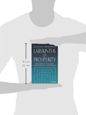 Labyrinths of Prosperity: Economic Follies, Democratic Remedies,Used