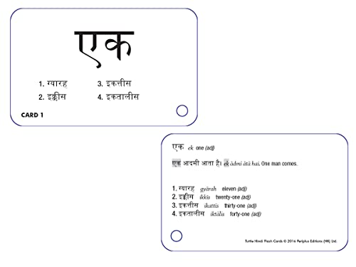 Hindi Flash Cards Kit: Learn 1,500 basic Hindi words and phrases quickly and easily! (Online Audio Included),New