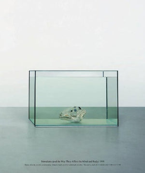 Damien Hirst
