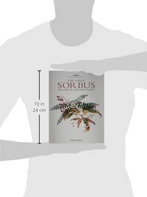 Genus Sorbus: mountain ash and other rowans,Used