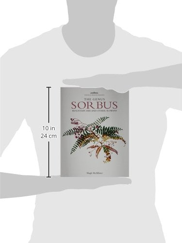 Genus Sorbus: mountain ash and other rowans,Used