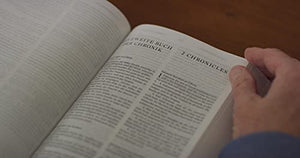 ESV German/English Parallel Bible (Luther/ESV, Dark Red)-New