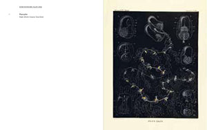 Art Forms from the Abyss: Ernst Haeckel's Images From The HMS Challenger Expedition,Used