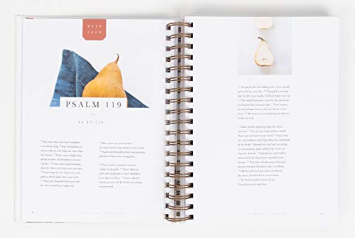 Flourish: A Mentoring Journey  Year One,Used