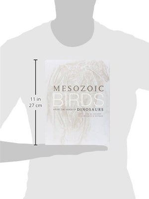 Mesozoic Birds: Above the Heads of Dinosaurs,Used