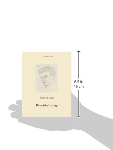 Beautiful Image (Pushkin Collection),Used
