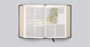 ESV Study Bible (TruTone, Burgundy/Red, Timeless Design),Used