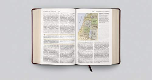 ESV Study Bible (TruTone, Burgundy/Red, Timeless Design),Used