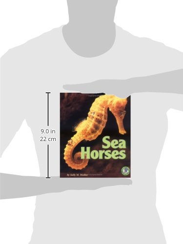 Sea Horses (Early Bird Nature Books),Used