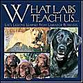 What Labs Teach Us: Life's Lessons Learned from Labrador Retrievers,Used