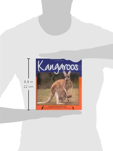 Kangaroos (Nature Watch),Used