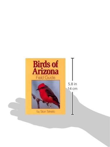 Birds of Arizona Field Guide,New