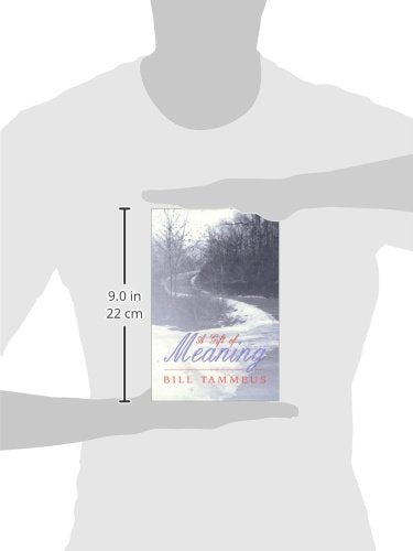 A Gift of Meaning (Volume 1),Used