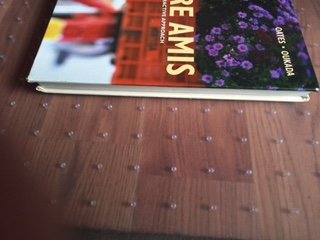 Entre Amis: An Interactive Approach, 5th Edition,Used