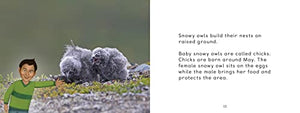 Uliaq's Amazing Animals: Snowy Owl: English Edition (Nunavummi Reading Series),Used