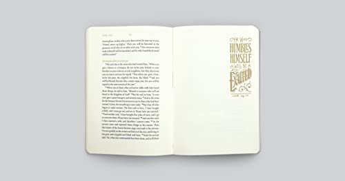 ESV Illuminated Scripture Journal: Luke,Used