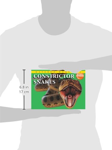 Constrictor Snakes (Nature's Monsters, Reptiles & Amphibians),Used