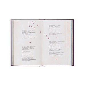 The Poetry of Emily Dickinson: Deluxe Slipcase Edition (Arcturus Silkbound Classics, 23),New