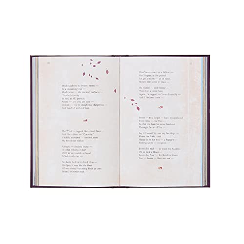 The Poetry of Emily Dickinson: Deluxe Slipcase Edition (Arcturus Silkbound Classics, 23),New