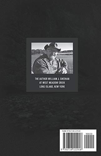 Bigfoot Terror in the Woods: Sightings and Encounters, Volume 4,Used