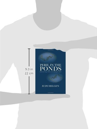 The Artifacts and crafts of Papua New Guinea: A guide for buyers,Used