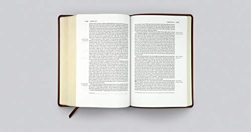 ESV Single Column Legacy Bible (TruTone, Chestnut),Used