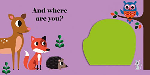 Wheres Mr Owl,Used
