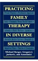 Practicing Family Therapy in Diverse Settings (Master Work),Used