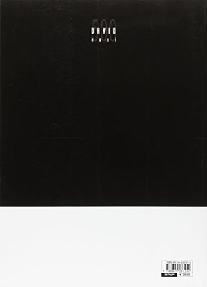 Exploring David. Diagnostic tests and state of conservation,Used